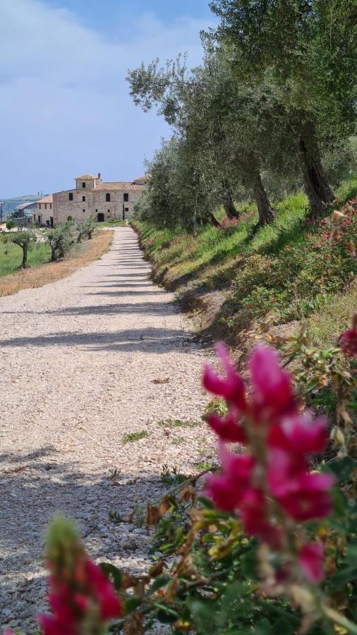 Mosciano SantʼAngelo Castello Di Petecciano B&B المظهر الخارجي الصورة